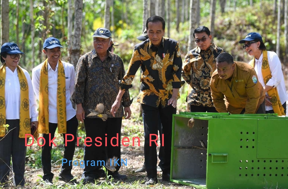 Pemerintah RI Lakukan Penghijauan dan Pelepasan Satwa di IKN