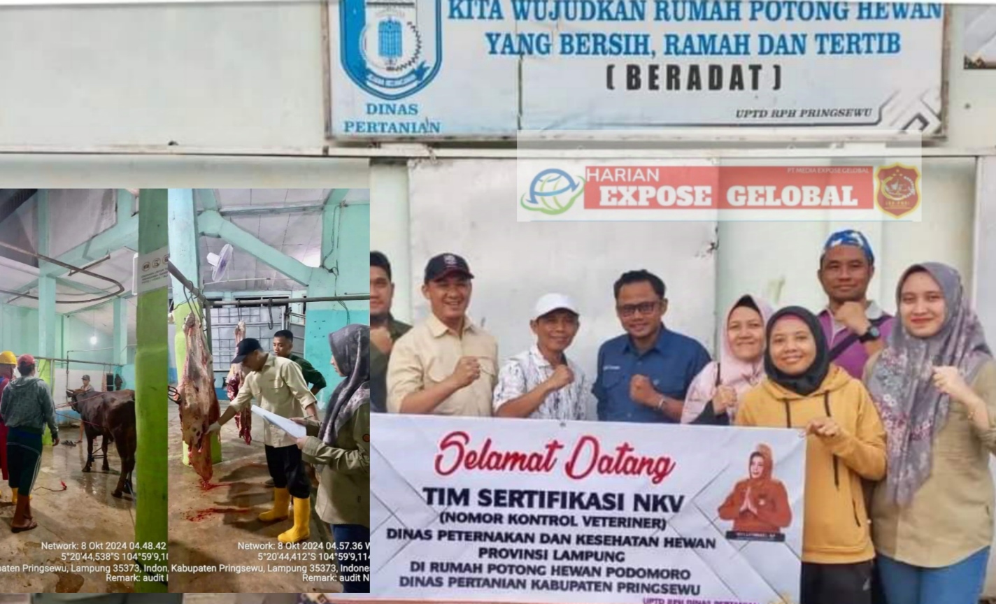 NKV DINAS PETERNAKAN DAN KESEHATAN HEWAN PROVINSI LAMPUNG AUDIT SERTIFIKAT RUMAH POTONG HEWAN RUMINANSIA PRINGSEWU