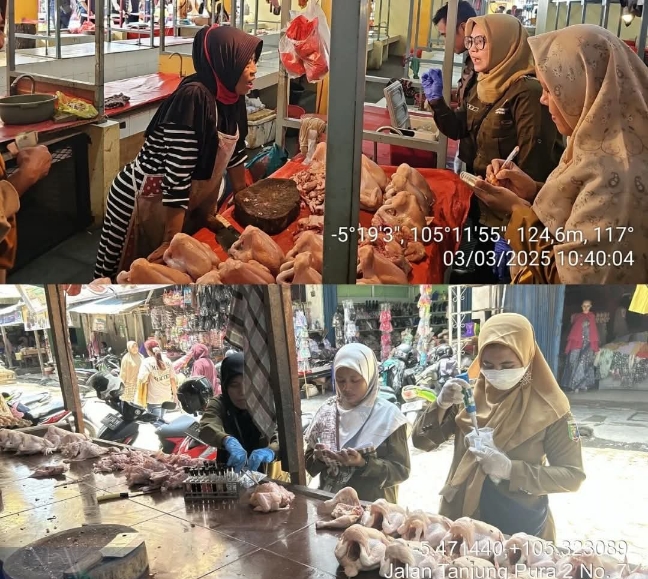 Dinas Peternakan dan kesehatan hewan provinsi Lampung: pastikan pangan hewan aman pengawasan PAH selama Ramadhan 1446 H
